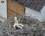 Capi_Dubne_20260603_194003.jpg