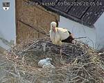 Capi_Dubne_20260603_200504.jpg