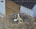 Capi_Dubne_20260603_202504.jpg