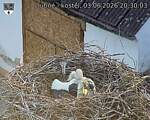 Capi_Dubne_20260603_203003.jpg