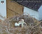 Capi_Dubne_20260603_204002.jpg