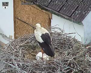 Capi_Dubne_20260603_205502.jpg (1350&nbsp;x&nbsp;1080)
