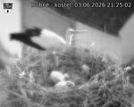 Capi_Dubne_20260603_212502.jpg