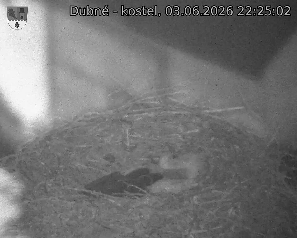 preload