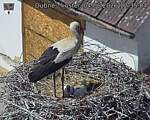 Capi_Dubne_20260604_123504.jpg