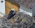 Capi_Dubne_20260604_124503.jpg