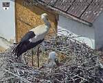 Capi_Dubne_20260604_125503.jpg