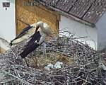 Capi_Dubne_20260604_132003.jpg