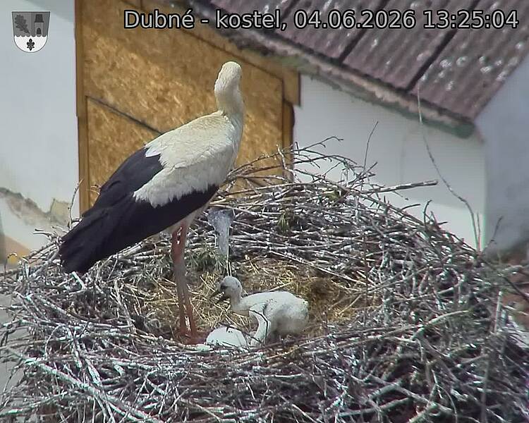 preload