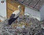 Capi_Dubne_20260604_133504.jpg