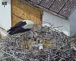 Capi_Dubne_20260604_134003.jpg