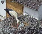 Capi_Dubne_20260604_134502.jpg