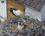 Capi_Dubne_20260604_135503.jpg