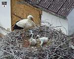 Capi_Dubne_20260604_145502.jpg