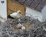 Capi_Dubne_20260604_150503.jpg