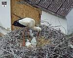 Capi_Dubne_20260604_151503.jpg