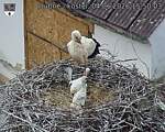 Capi_Dubne_20260604_155003.jpg