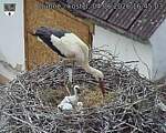 Capi_Dubne_20260604_164503.jpg