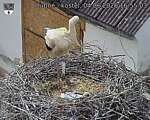 Capi_Dubne_20260604_165503.jpg