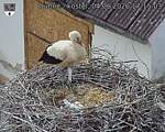 Capi_Dubne_20260604_171503.jpg