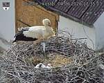 Capi_Dubne_20260604_173503.jpg