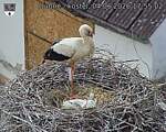 Capi_Dubne_20260604_175502.jpg