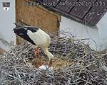 Capi_Dubne_20260604_181003.jpg