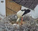 Capi_Dubne_20260604_181503.jpg