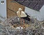 Capi_Dubne_20260604_182003.jpg
