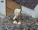 Capi_Dubne_20260604_191503.jpg