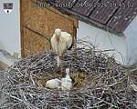Capi_Dubne_20260604_194502.jpg