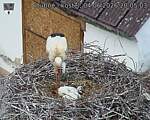 Capi_Dubne_20260604_200503.jpg