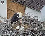 Capi_Dubne_20260604_203503.jpg