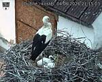 Capi_Dubne_20260604_211503.jpg