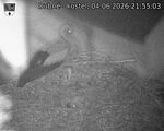 Capi_Dubne_20260604_215503.jpg