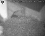 Capi_Dubne_20260604_223503.jpg