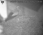 Capi_Dubne_20260604_232002.jpg