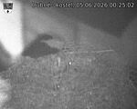 Capi_Dubne_20260605_002502.jpg