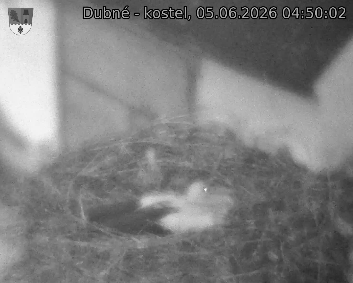 preload