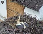 Capi_Dubne_20260605_063004.jpg