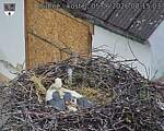 Capi_Dubne_20260605_081503.jpg