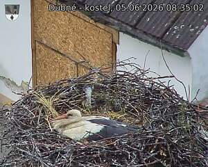 preload