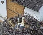 Capi_Dubne_20260605_091503.jpg