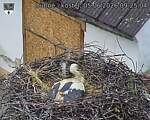 Capi_Dubne_20260605_092504.jpg