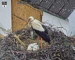 Capi_Dubne_20260605_100503.jpg