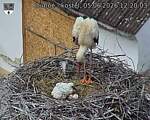Capi_Dubne_20260605_122003.jpg