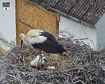 Capi_Dubne_20260605_124502.jpg