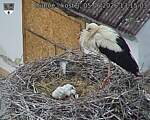 Capi_Dubne_20260605_131503.jpg