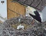 Capi_Dubne_20260605_132003.jpg