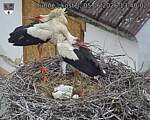 Capi_Dubne_20260605_134002.jpg